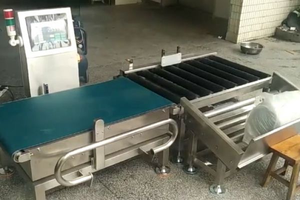 50KG滾筒式稱重機(jī)自動稱重剔除測試